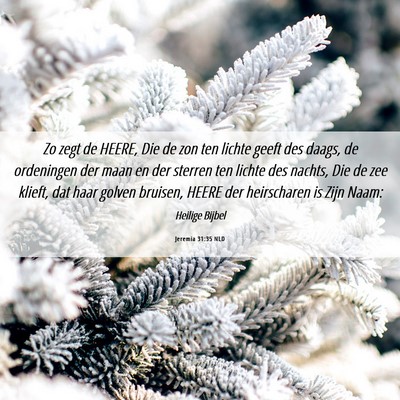 Picture 06 - Jeremia 31:35 NLD - Zo zegt de HEERE, Die de zon ten lichte geeft des - Bible Verse Picture