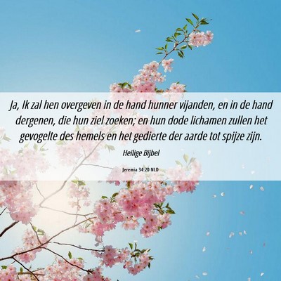 Picture 06 - Jeremia 34:20 NLD - Ja, Ik zal hen overgeven in de hand hunner - Bible Verse Picture