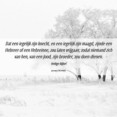 Picture 06 - Jeremia 34:9 NLD - Dat een iegelijk zijn knecht, en een iegelijk - Bible Verse Picture