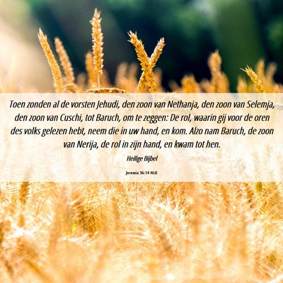 Picture 06 - Jeremia 36:14 NLD - Toen zonden al de vorsten Jehudi, den zoon van - Bible Verse Picture