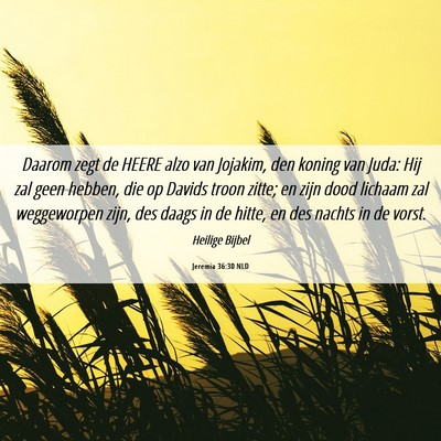 Picture 06 - Jeremia 36:30 NLD - Daarom zegt de HEERE alzo van Jojakim, den koning - Bible Verse Picture