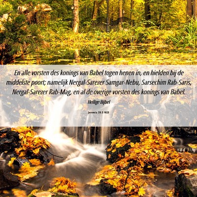 Picture 06 - Jeremia 39:3 NLD - En alle vorsten des konings van Babel togen henen - Bible Verse Picture