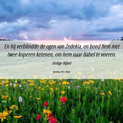 Picture 06 - Jeremia 39:7 NLD - En hij verblindde de ogen van Zedekia, en bond - Bible Verse Picture