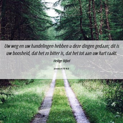 Picture 06 - Jeremia 4:18 NLD - Uw weg en uw handelingen hebben u deze dingen - Bible Verse Picture