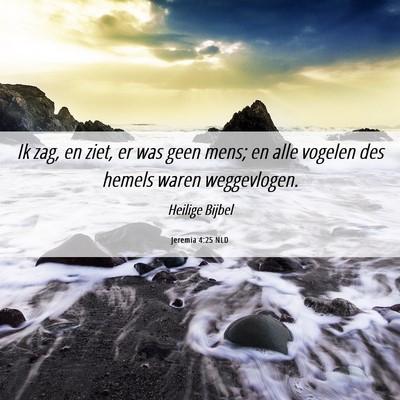 Picture 06 - Jeremia 4:25 NLD - Ik zag, en ziet, er was geen mens; en alle - Bible Verse Picture