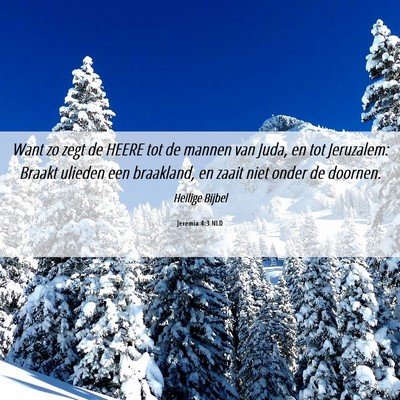 Picture 06 - Jeremia 4:3 NLD - Want zo zegt de HEERE tot de mannen van Juda, en - Bible Verse Picture