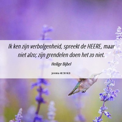 Picture 06 - Jeremia 48:30 NLD - Ik ken zijn verbolgenheid, spreekt de HEERE, maar - Bible Verse Picture