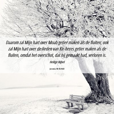 Picture 06 - Jeremia 48:36 NLD - Daarom zal Mijn hart over Moab getier maken als - Bible Verse Picture