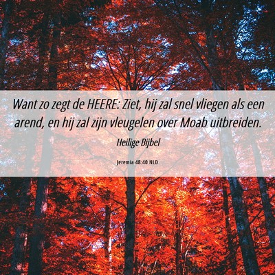 Picture 06 - Jeremia 48:40 NLD - Want zo zegt de HEERE: Ziet, hij zal snel vliegen - Bible Verse Picture