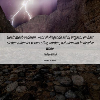 Picture 06 - Jeremia 48:9 NLD - Geeft Moab vederen, want al vliegende zal zij - Bible Verse Picture