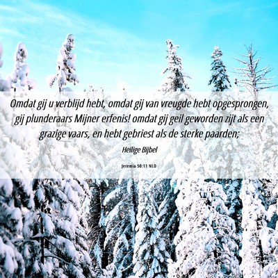 Picture 06 - Jeremia 50:11 NLD - Omdat gij u verblijd hebt, omdat gij van vreugde - Bible Verse Picture