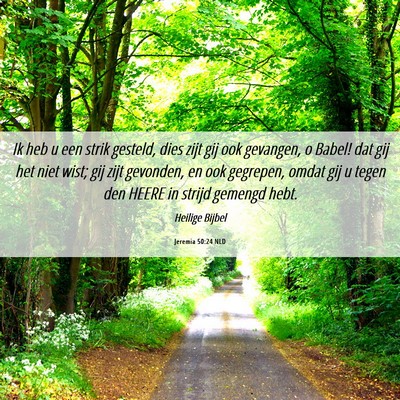 Picture 06 - Jeremia 50:24 NLD - Ik heb u een strik gesteld, dies zijt gij ook - Bible Verse Picture