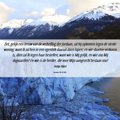 Picture 06 - Jeremia 50:44 NLD - Ziet, gelijk een leeuw van de verheffing der - Bible Verse Picture