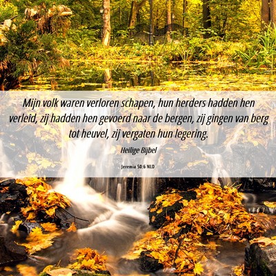Picture 06 - Jeremia 50:6 NLD - Mijn volk waren verloren schapen, hun herders - Bible Verse Picture