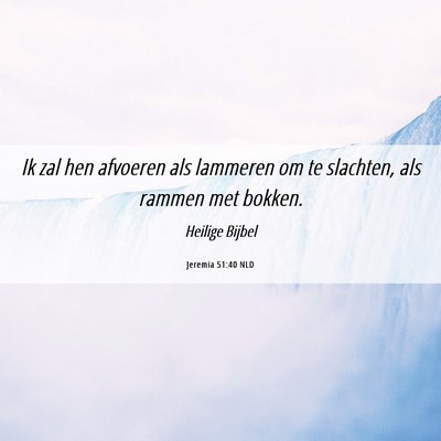 Picture 06 - Jeremia 51:40 NLD - Ik zal hen afvoeren als lammeren om te slachten, - Bible Verse Picture