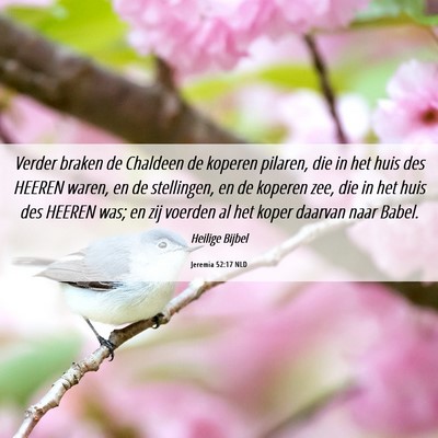 Picture 06 - Jeremia 52:17 NLD - Verder braken de Chaldeen de koperen pilaren, die - Bible Verse Picture