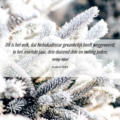 Picture 06 - Jeremia 52:28 NLD - Dit is het volk, dat Nebukadrezar gevankelijk - Bible Verse Picture