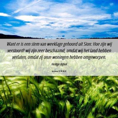 Picture 06 - Jeremia 9:19 NLD - Want er is een stem van weeklage gehoord uit - Bible Verse Picture