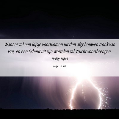 Picture 06 - Jesaja 11:1 NLD - Want er zal een Rijsje voortkomen uit den - Bible Verse Picture
