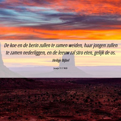 Picture 06 - Jesaja 11:7 NLD - De koe en de berin zullen te zamen weiden, haar - Bible Verse Picture
