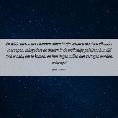 Picture 06 - Jesaja 13:22 NLD - En wilde dieren der eilanden zullen in zijn - Bible Verse Picture