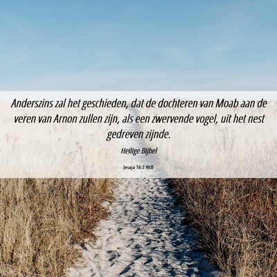 Picture 06 - Jesaja 16:2 NLD - Anderszins zal het geschieden, dat de dochteren - Bible Verse Picture
