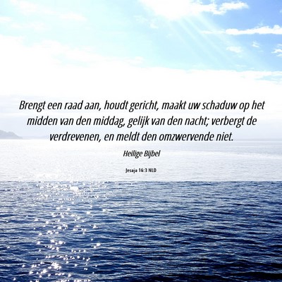 Picture 06 - Jesaja 16:3 NLD - Brengt een raad aan, houdt gericht, maakt uw - Bible Verse Picture