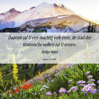 Picture 06 - Jesaja 25:3 NLD - Daarom zal U een machtig volk eren, de stad der - Bible Verse Picture