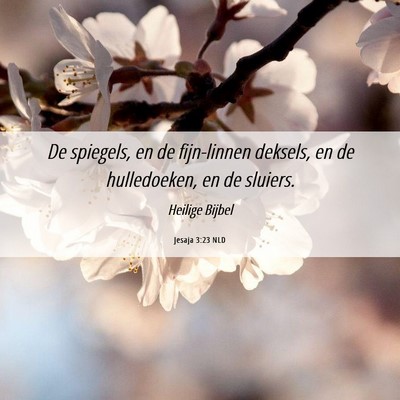 Picture 06 - Jesaja 3:23 NLD - De spiegels, en de fijn-linnen deksels, en de - Bible Verse Picture