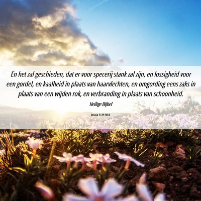Picture 06 - Jesaja 3:24 NLD - En het zal geschieden, dat er voor specerij stank - Bible Verse Picture