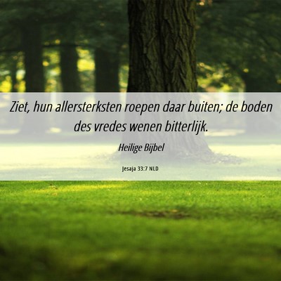 Picture 06 - Jesaja 33:7 NLD - Ziet, hun allersterksten roepen daar buiten; de - Bible Verse Picture