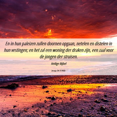 Picture 06 - Jesaja 34:13 NLD - En in hun paleizen zullen doornen opgaan, netelen - Bible Verse Picture