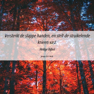 Picture 06 - Jesaja 35:3 NLD - Versterkt de slappe handen, en stelt de - Bible Verse Picture