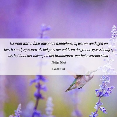 Picture 06 - Jesaja 37:27 NLD - Daarom waren haar inwoners handeloos, zij waren - Bible Verse Picture