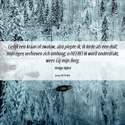Picture 06 - Jesaja 38:14 NLD - Gelijk een kraan of zwaluw, alzo piepte ik; ik - Bible Verse Picture