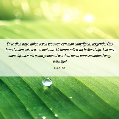 Picture 06 - Jesaja 4:1 NLD - En te dien dage zullen zeven vrouwen een man - Bible Verse Picture