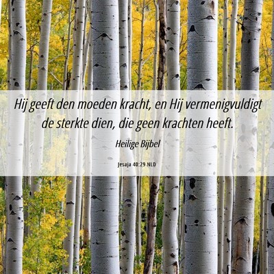 Picture 06 - Jesaja 40:29 NLD - Hij geeft den moeden kracht, en Hij - Bible Verse Picture