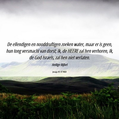 Picture 06 - Jesaja 41:17 NLD - De ellendigen en nooddruftigen zoeken water, maar - Bible Verse Picture