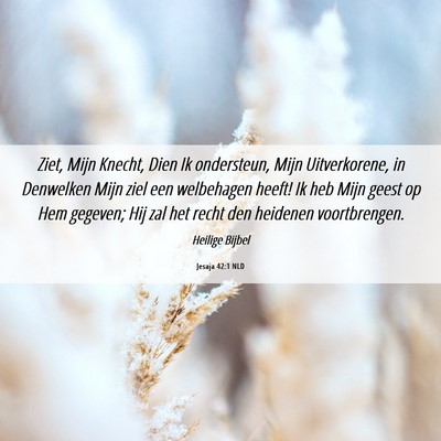 Picture 06 - Jesaja 42:1 NLD - Ziet, Mijn Knecht, Dien Ik ondersteun, Mijn - Bible Verse Picture
