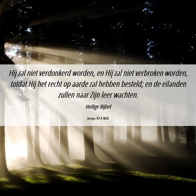 Picture 06 - Jesaja 42:4 NLD - Hij zal niet verdonkerd worden, en Hij zal niet - Bible Verse Picture
