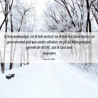 Picture 06 - Jesaja 43:12 NLD - Ik heb verkondigd, en Ik heb verlost, en Ik heb - Bible Verse Picture