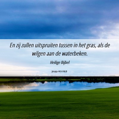 Picture 06 - Jesaja 44:4 NLD - En zij zullen uitspruiten tussen in het gras, als - Bible Verse Picture