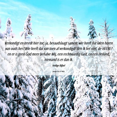 Picture 06 - Jesaja 45:21 NLD - Verkondigt en treedt hier toe, ja, beraadslaagt - Bible Verse Picture