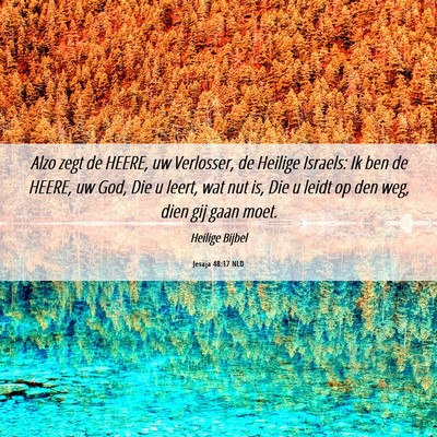 Picture 06 - Jesaja 48:17 NLD - Alzo zegt de HEERE, uw Verlosser, de Heilige - Bible Verse Picture
