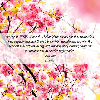 Picture 06 - Jesaja 50:1 NLD - Alzo zegt de HEERE: Waar is de scheidbrief van - Bible Verse Picture