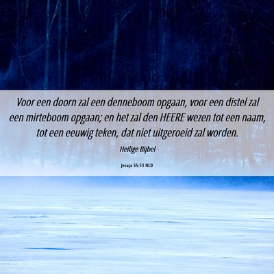 Picture 06 - Jesaja 55:13 NLD - Voor een doorn zal een denneboom opgaan, voor een - Bible Verse Picture