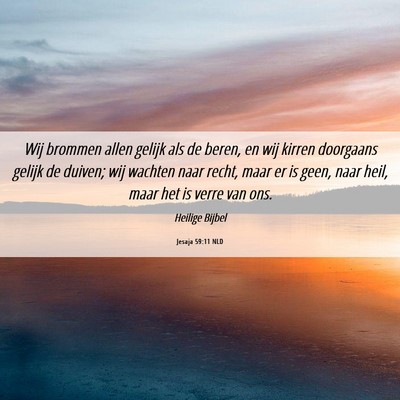 Picture 06 - Jesaja 59:11 NLD - Wij brommen allen gelijk als de beren, en wij - Bible Verse Picture