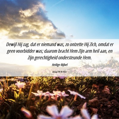 Picture 06 - Jesaja 59:16 NLD - Dewijl Hij zag, dat er niemand was, zo ontzette - Bible Verse Picture