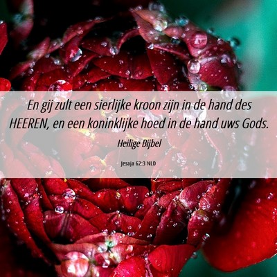 Picture 06 - Jesaja 62:3 NLD - En gij zult een sierlijke kroon zijn in de hand - Bible Verse Picture