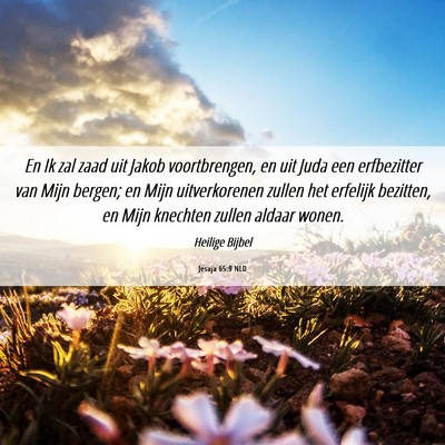 Picture 06 - Jesaja 65:9 NLD - En Ik zal zaad uit Jakob voortbrengen, en uit - Bible Verse Picture